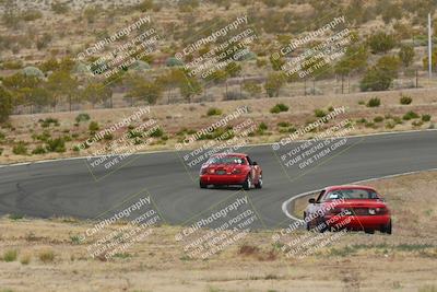 media/May-03-2025-Lucky Dog Racing (Sat) [[206de64b9d]]/Turn 2 (1020am-1120am)/